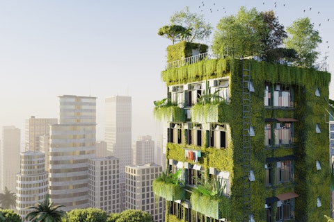 Insetos polinizadores urbanos: desafios e soluções sustentáveis