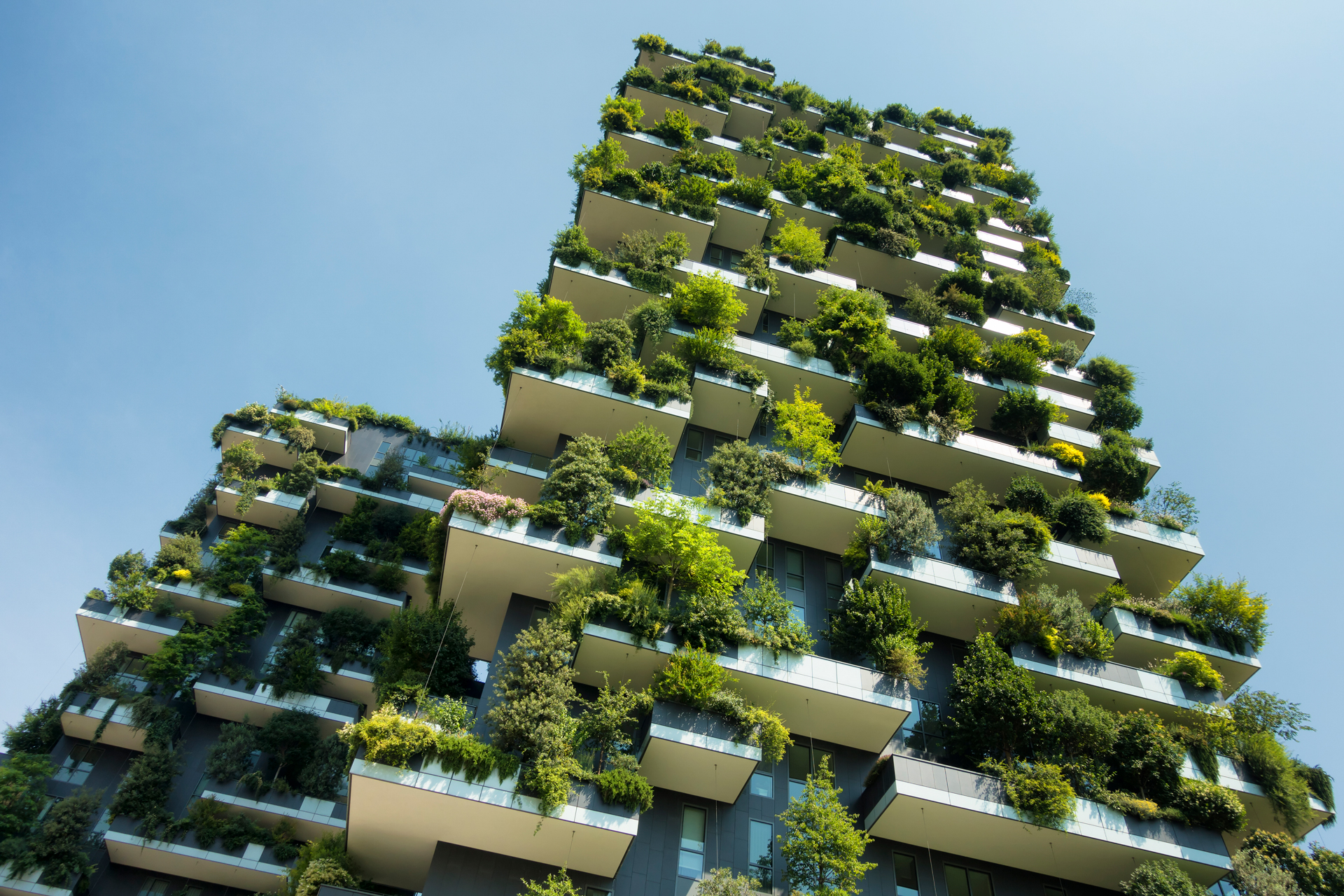 Estudos de biodiversidade e construção sustentável