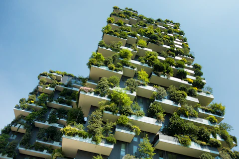 Estudos de biodiversidade e construção sustentável