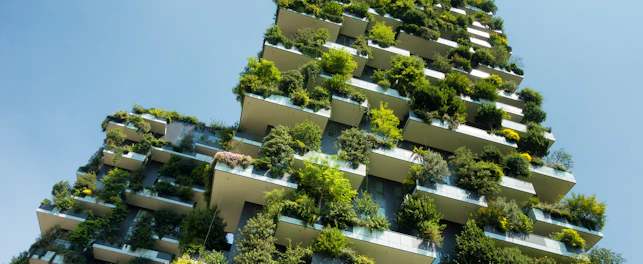 Estudos de biodiversidade e construção sustentável
