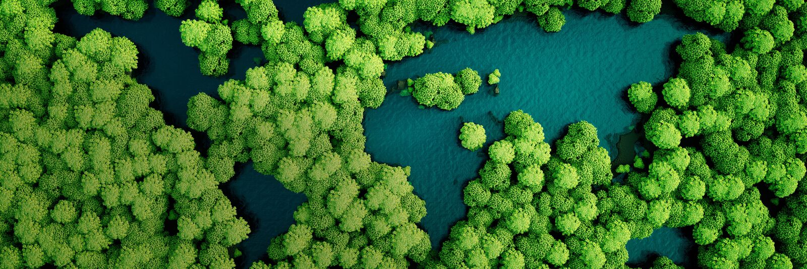 Check Vision Concept