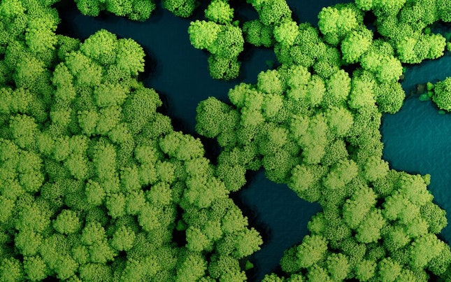 Check Vision Concept