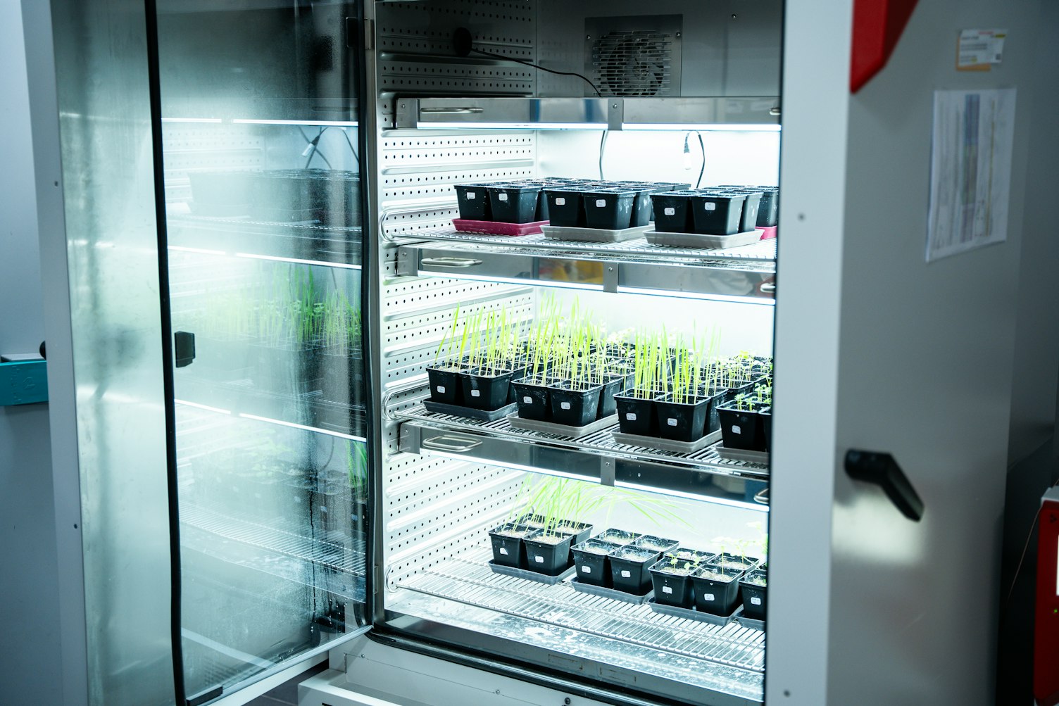 Ecotoxicity Laboratory Rouen 1