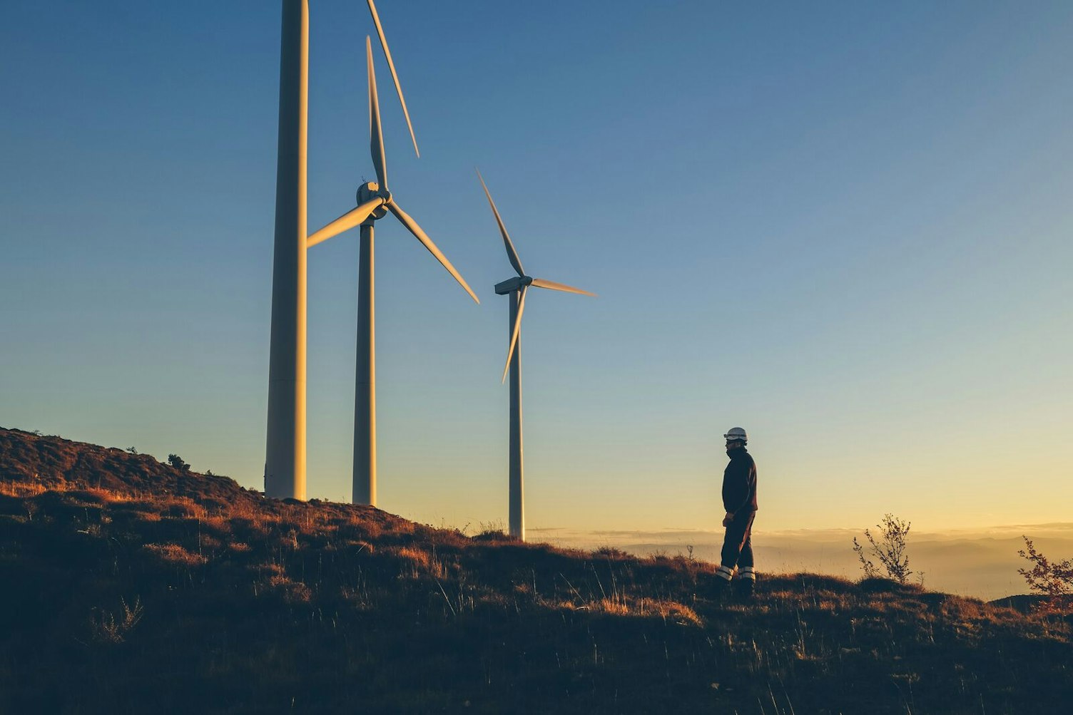 Engineer Performing a Maintenance Check in a Wind Turbine Farm