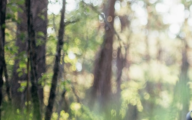 숲 속 산책을 즐기는 아빠와 딸