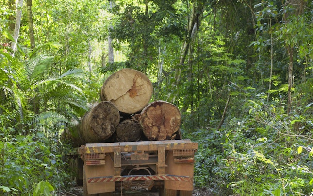 Forestry Exploitation