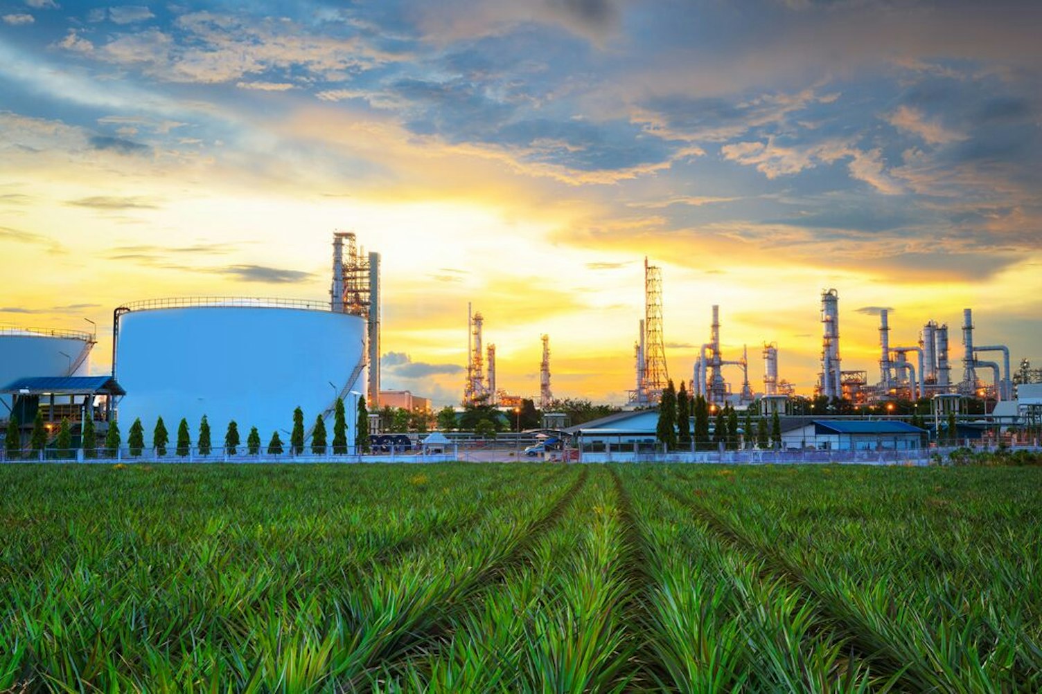 Oil Refinery Industry