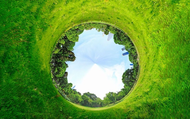 Panoramic Projection of a Green Field with Trees in the Summer