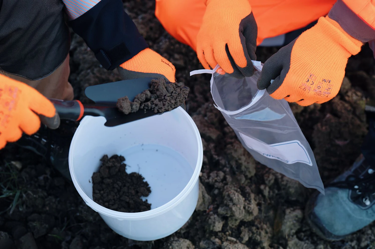 SGS Field Technicians Collecting Soil Samples Pszczyna, Poland