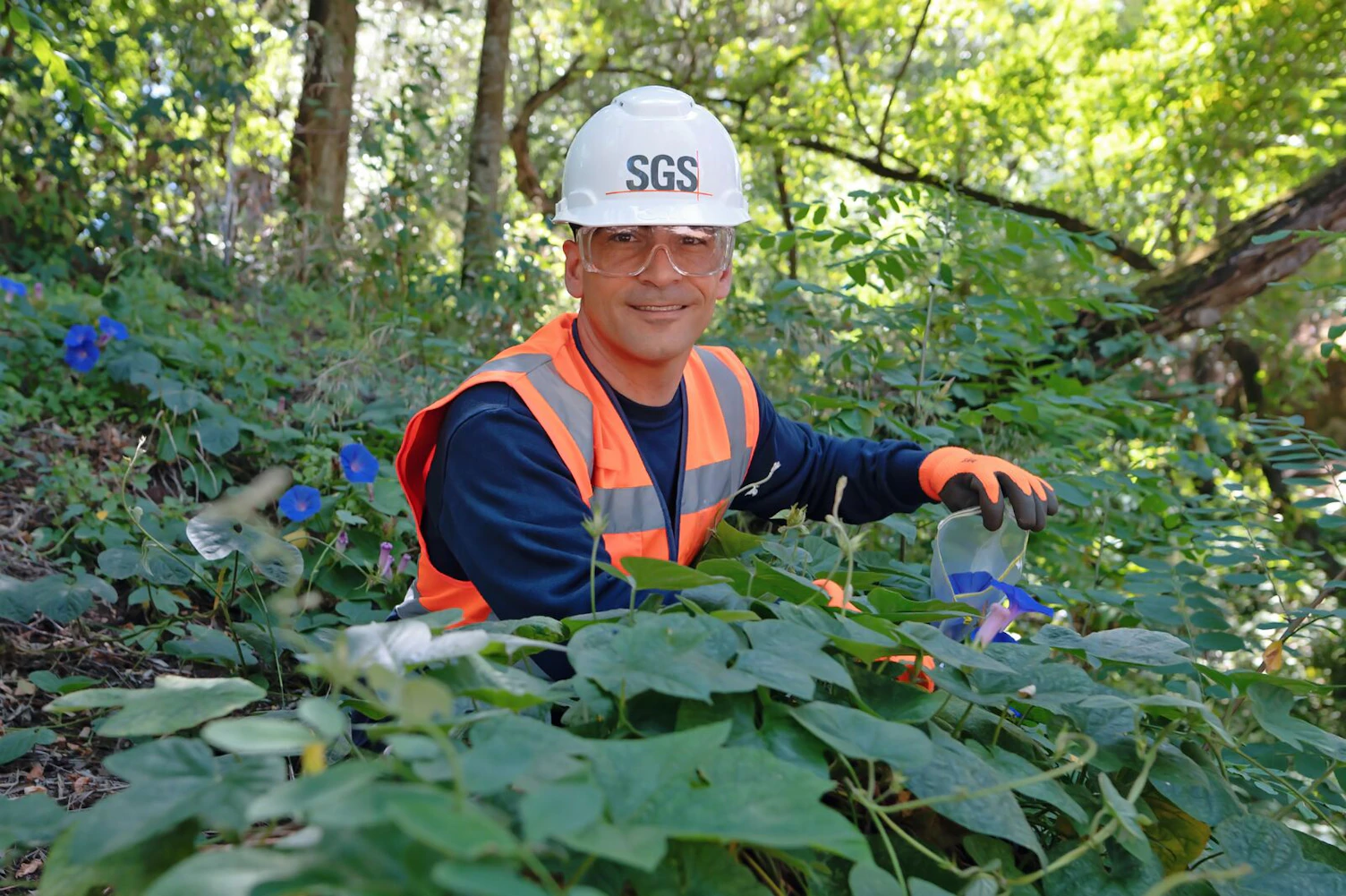 SGS Insect Scan Biodiversity Charaterization Lisbon, Portugal Antonio Manuel Mendes 2
