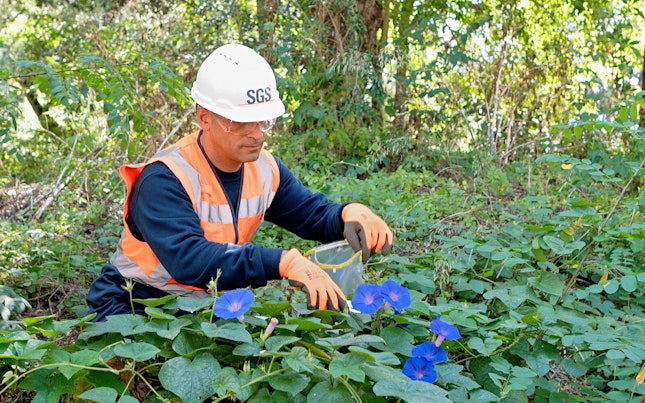 SGS Insect Scan Biodiversity Charaterization Lisbon