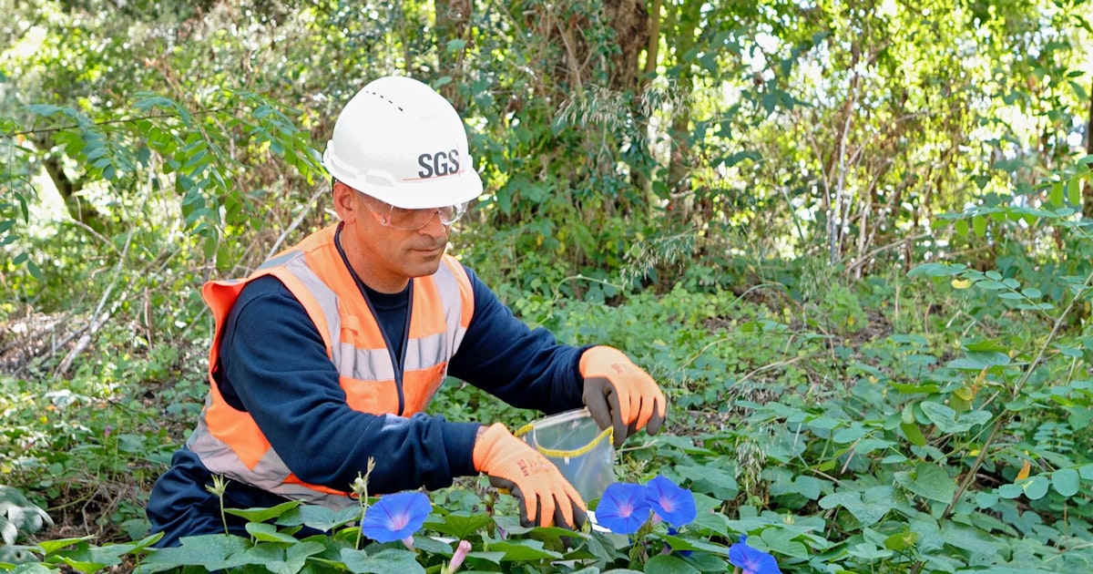 Biodiversity Services
