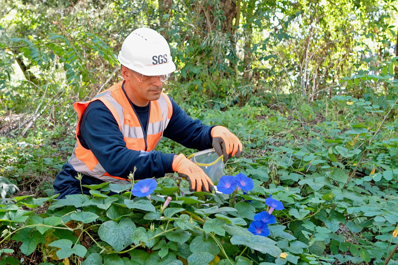 SGS Insect Scan Biodiversity Charaterization Lisbon