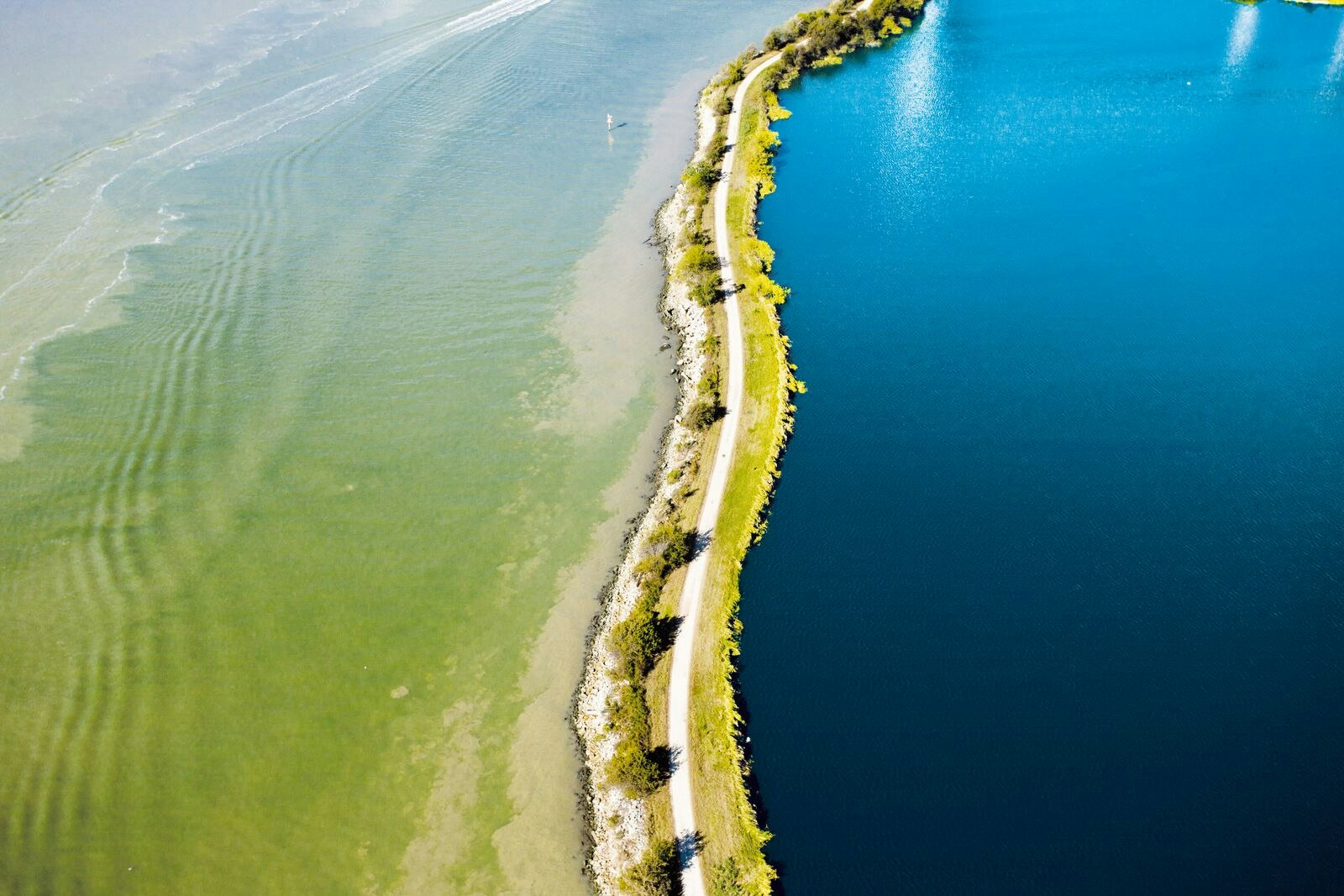Shoreline Road