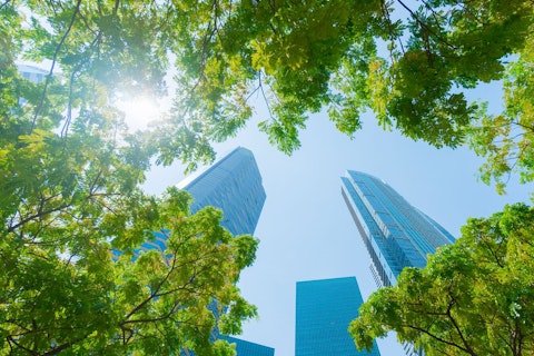 Fák és épületek Szingapúrban