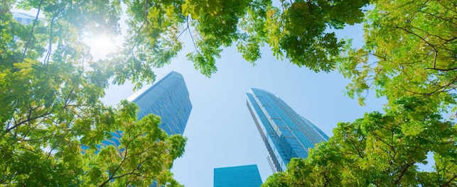 Fák és épületek Szingapúrban