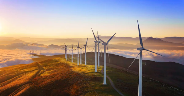 5 Examples of Renewable Energy Sources and the Benefits They Bring ...