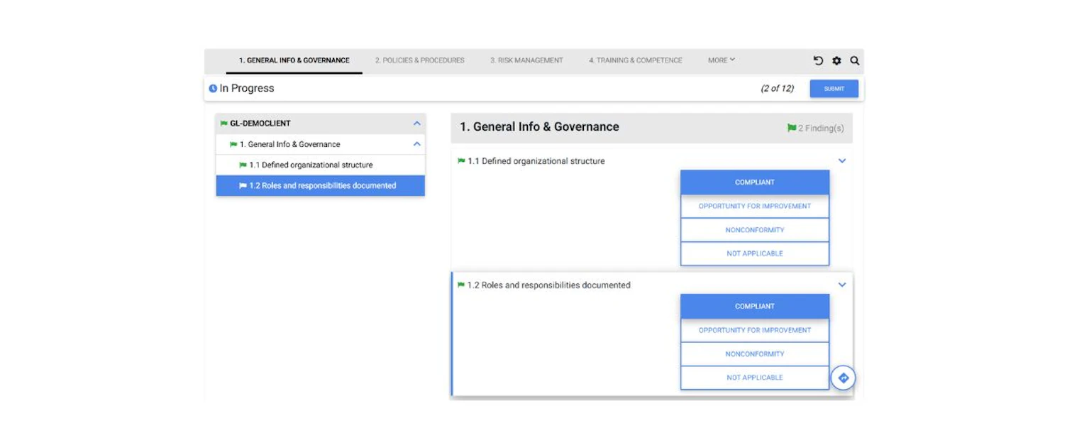 Audit in Progress