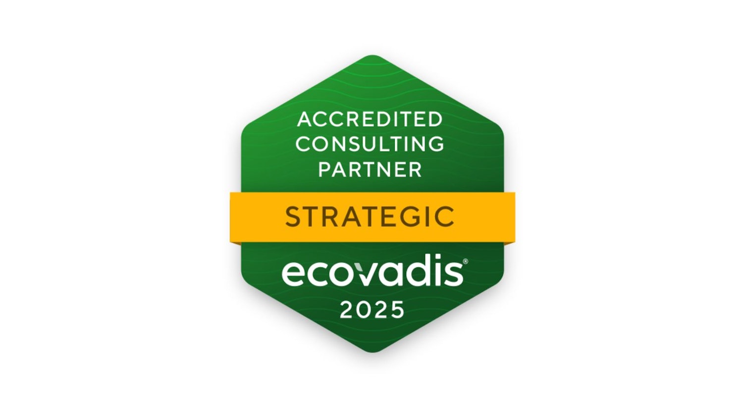EcoVadis Accredited Strategic Consulting Partner Logo