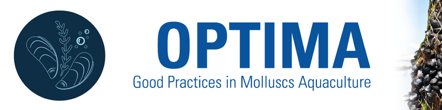 OPTIMA: Good Practices in Molluscs Aquaculture