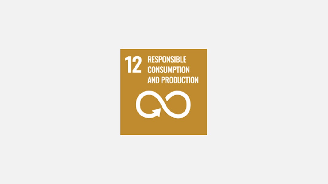 Sustainable Development Goals