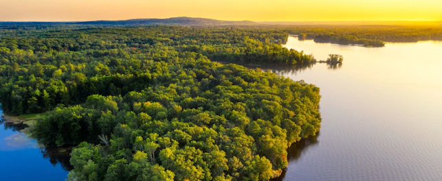 Aerial View of a Coastline at Sunset