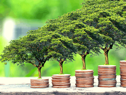 Apply Overarching Sustainability Principles Practices and Terminology to Financial Activities