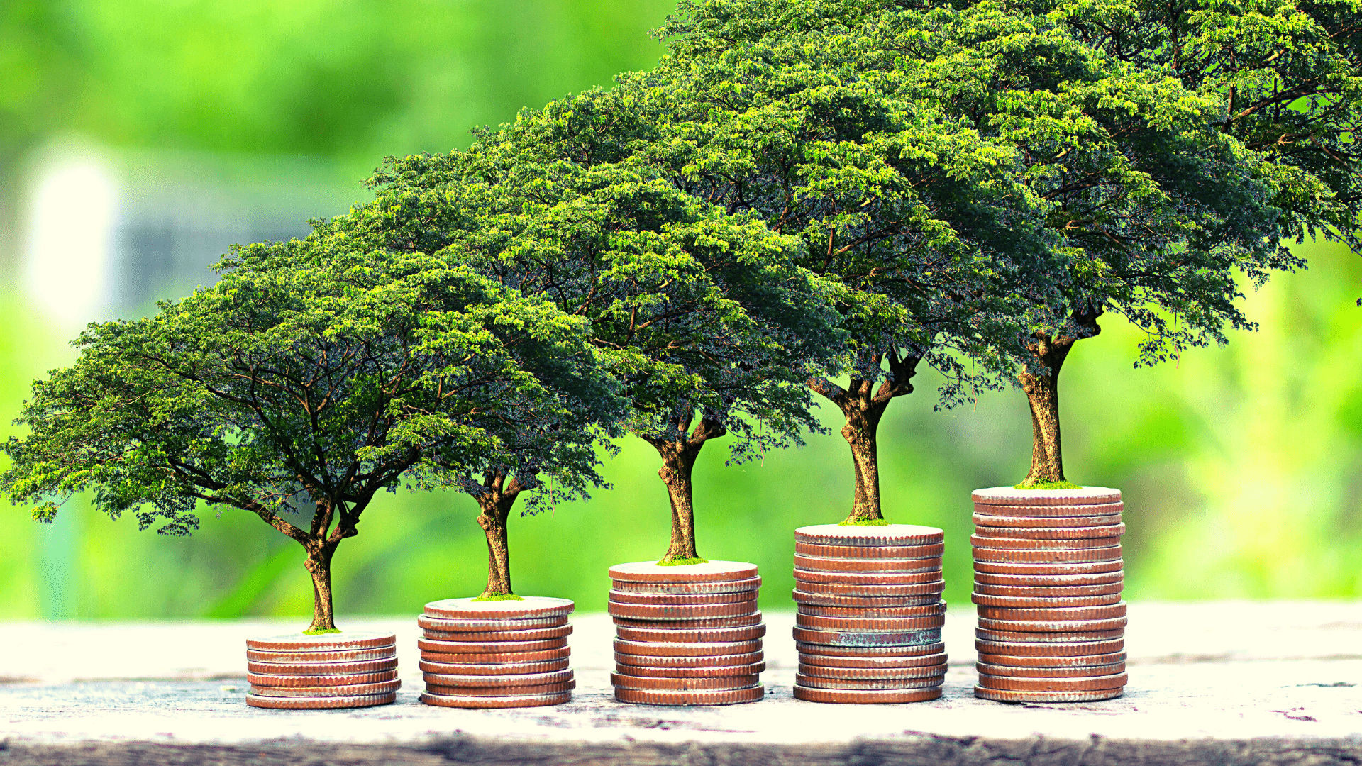 Apply Overarching Sustainability Principles Practices and Terminology to Financial Activities