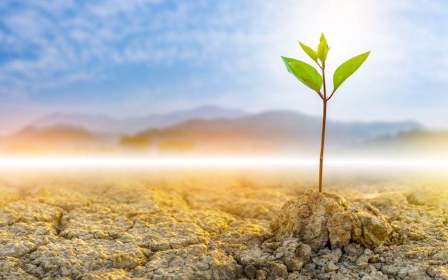 Concept of Earth Protection Day or Environmental Protection Hands