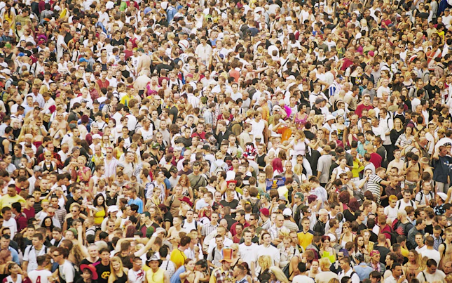 Field worker inspecting bridge suspender