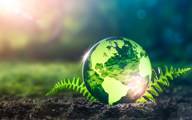 Environmental Audits