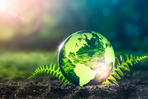 Environmental Audits