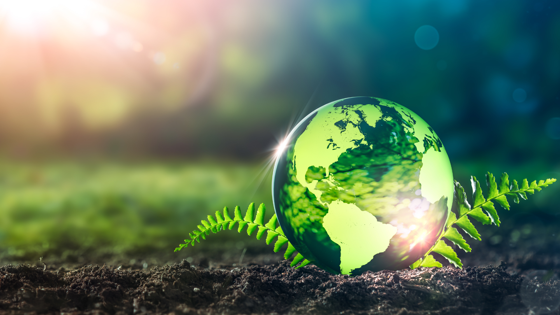 Environmental Audits