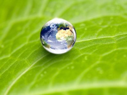 Environmental Conservation Concept