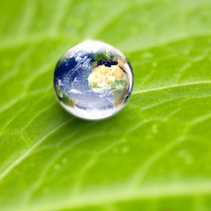 Environmental Conservation Concept