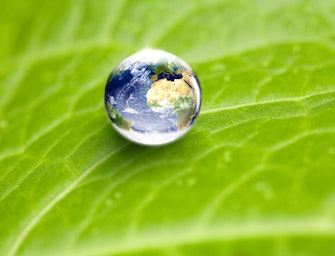 Environmental Conservation Concept