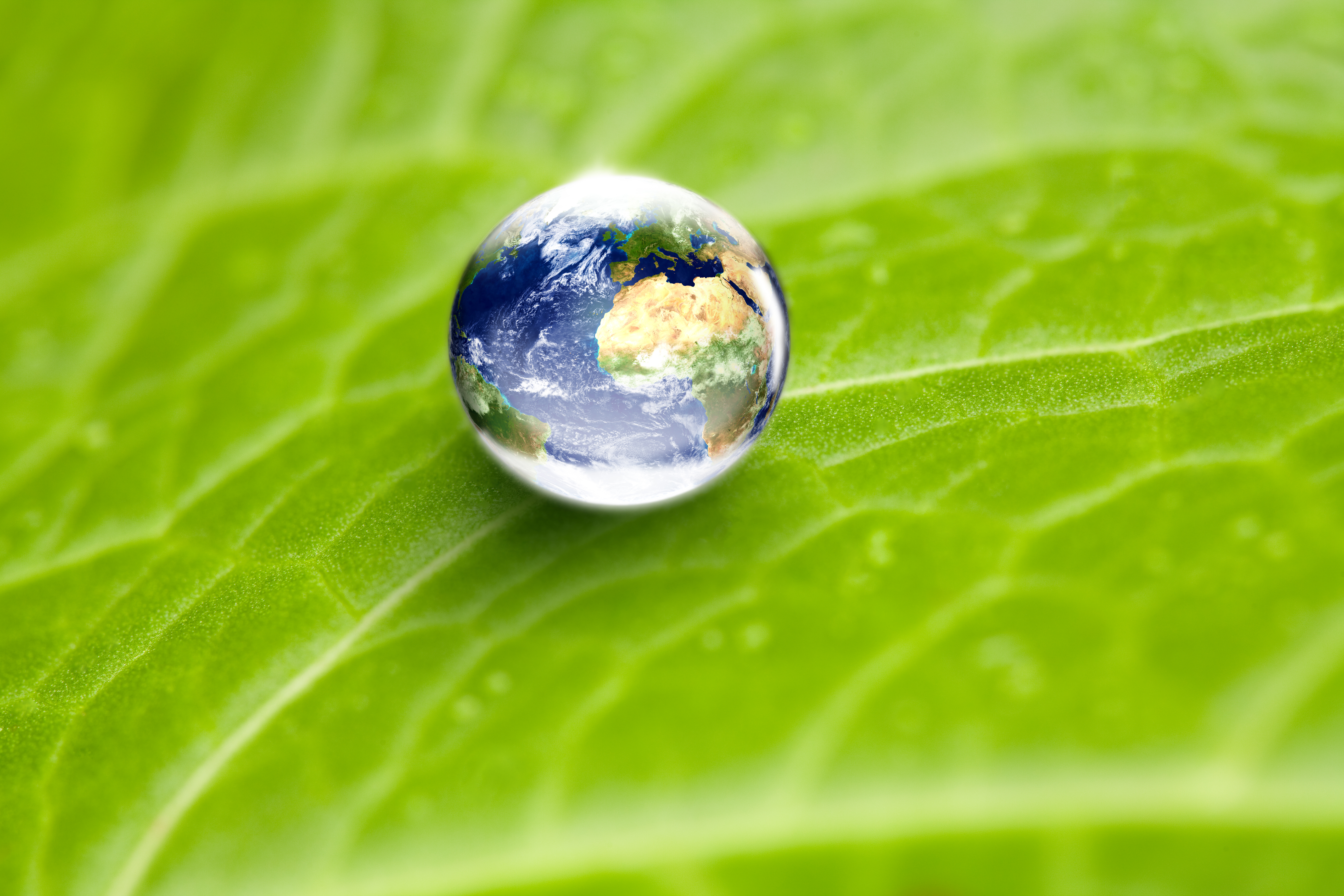 Environmental Conservation Concept
