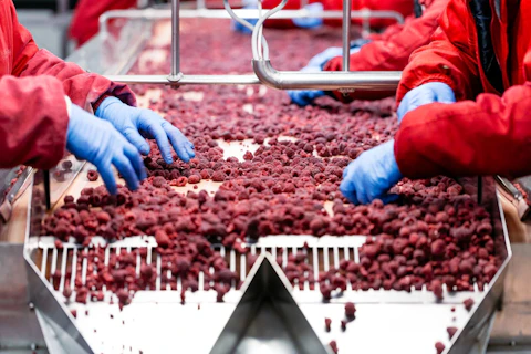 Frozen Fruit Factory