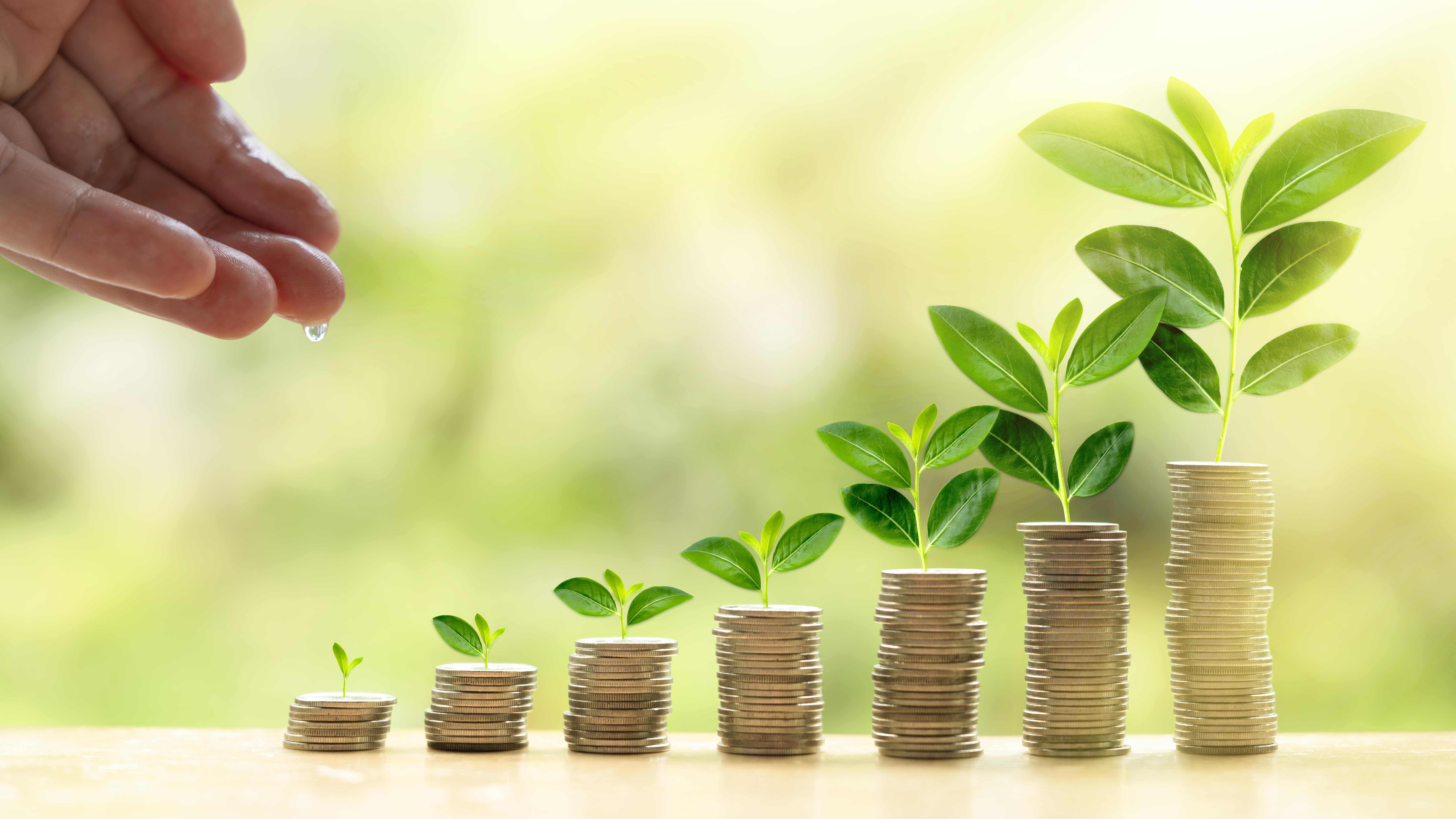 Concepto de energía verde frente a dinero