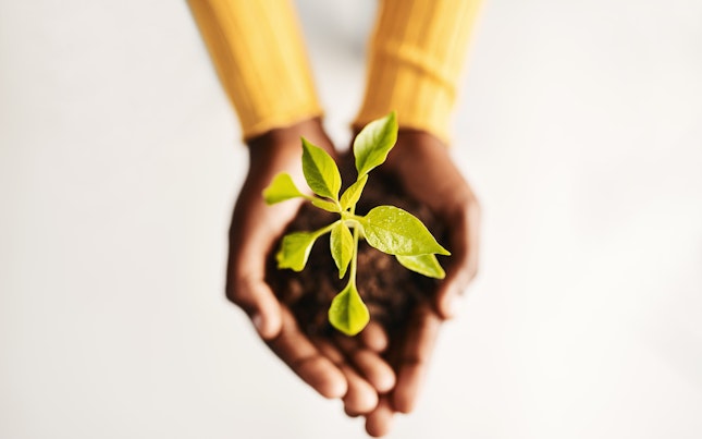 High Angle Shot of a Woman Holding a Plant Growing out of Soil