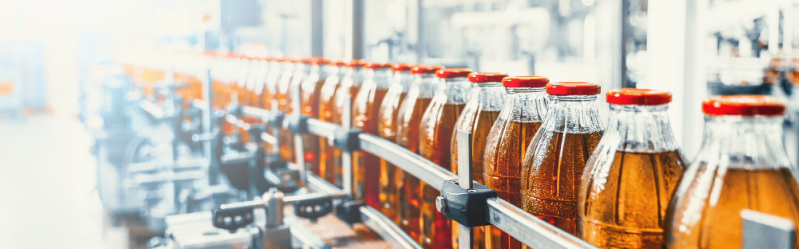 จุลินทรีย์ในจานแก้วทดสอบ