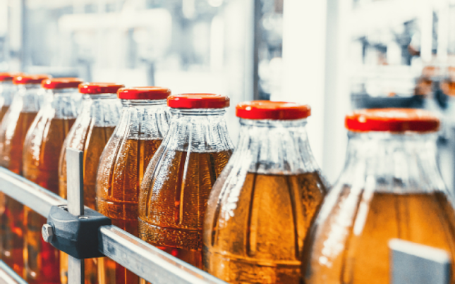 Test cam plakasındaki mikroorganizmalar