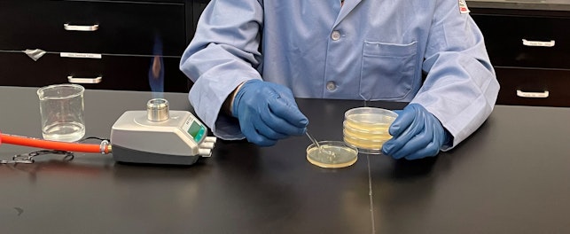 Scientist placing sample in a petri dish
