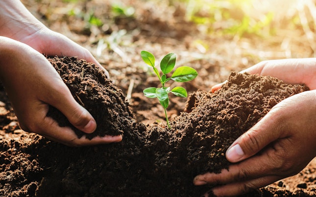 Sustainability Ecology Concept