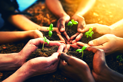 Sustainability Unlocked