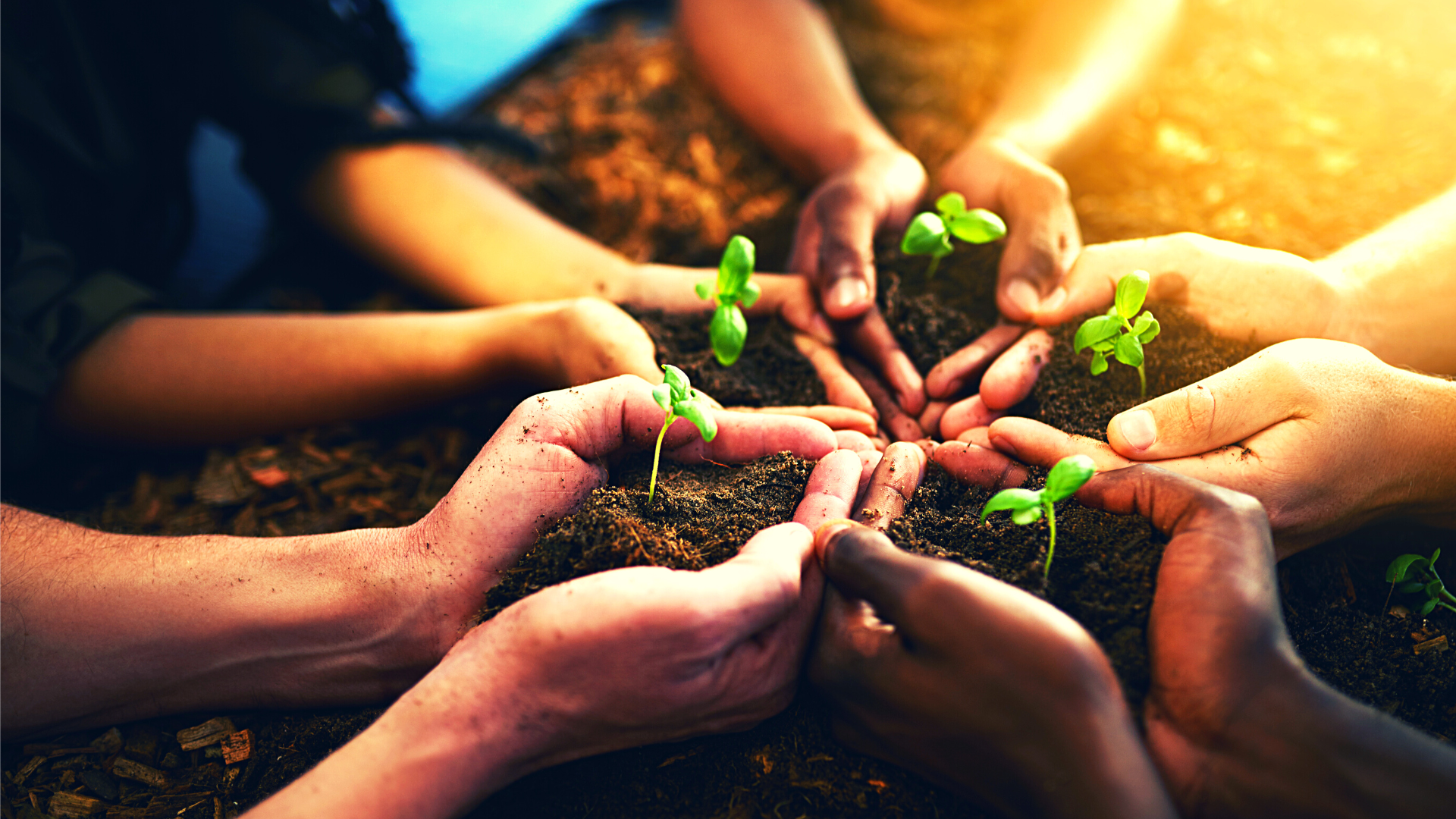 Sustainability Unlocked