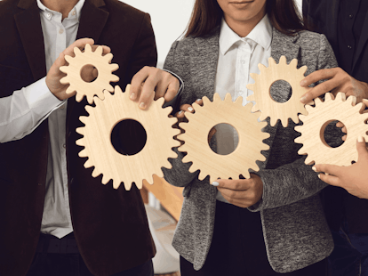 The Lean Management System from Strategy to Excellence