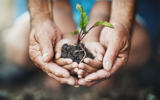 Dos generaciones sosteniendo una planta que crece fuera del suelo
