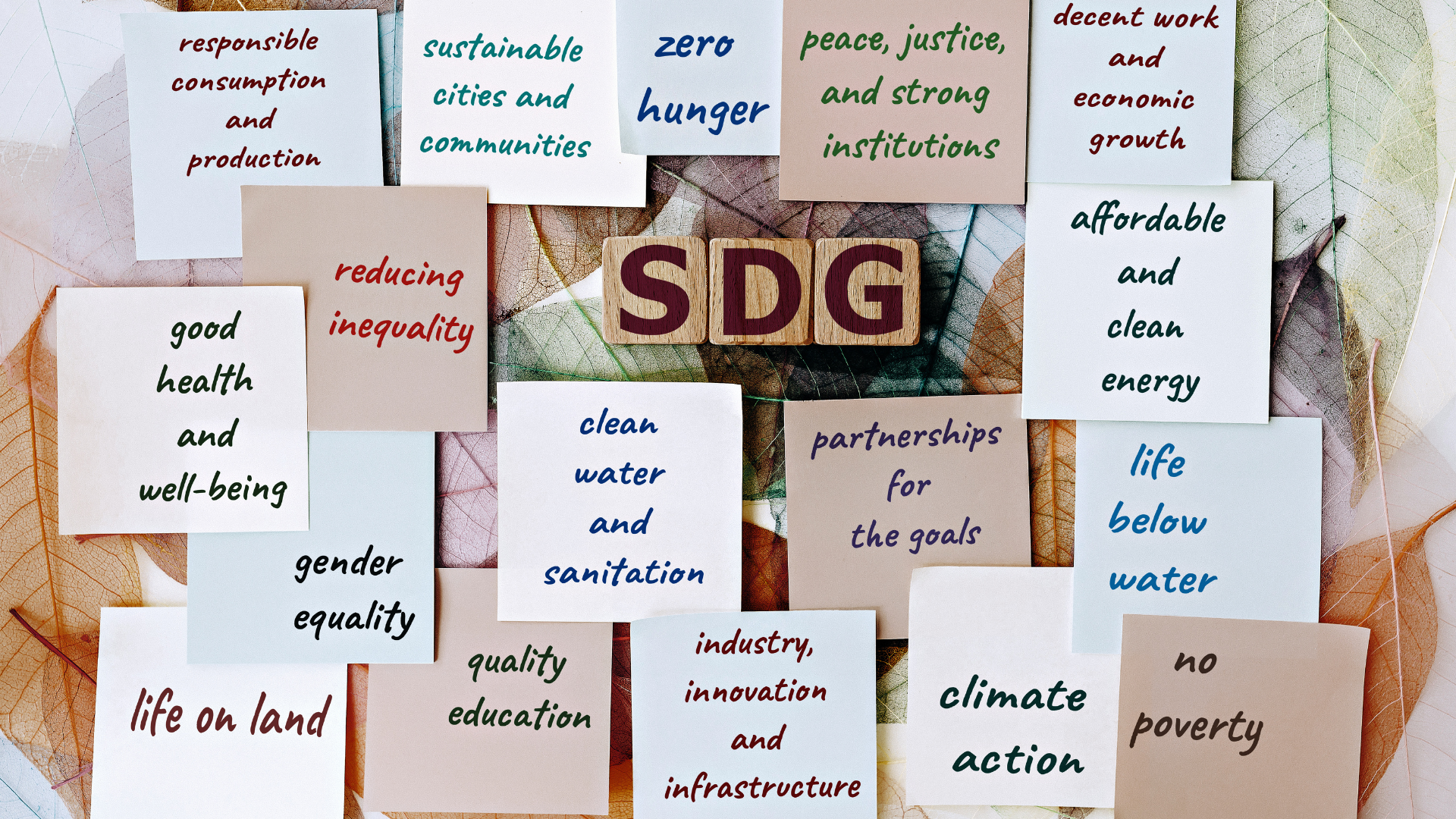 UN SDGs