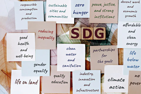 UN SDGs